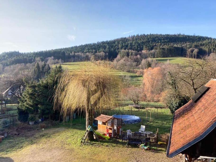Logement Chaleureux, Vallee De Ville Steige Exterior foto