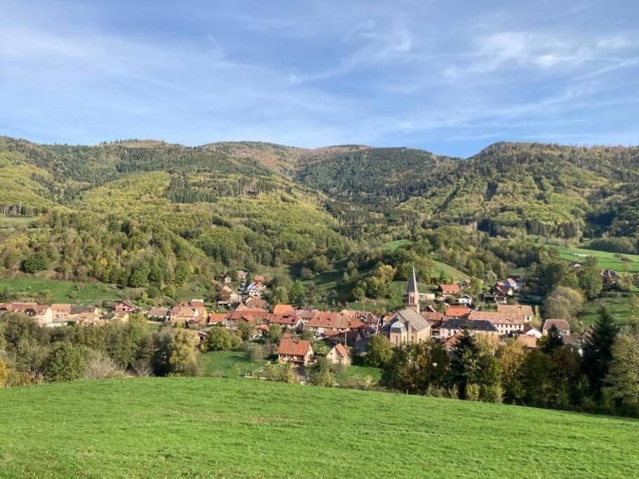 Logement Chaleureux, Vallee De Ville Steige Exterior foto